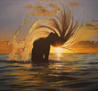 PROFILO DI LEI AL TRAMONTO
