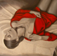ROSSO TIZIANO